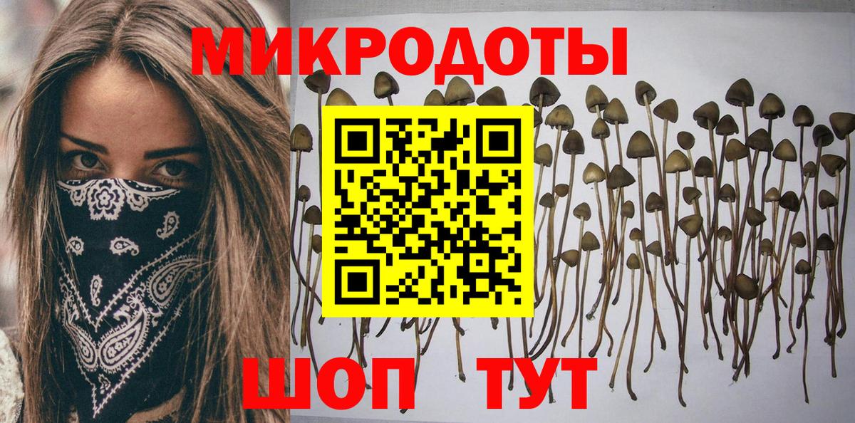 Дмитров  Галлюциногенные грибы GOLDEN TEACHER  Вход с VPN 