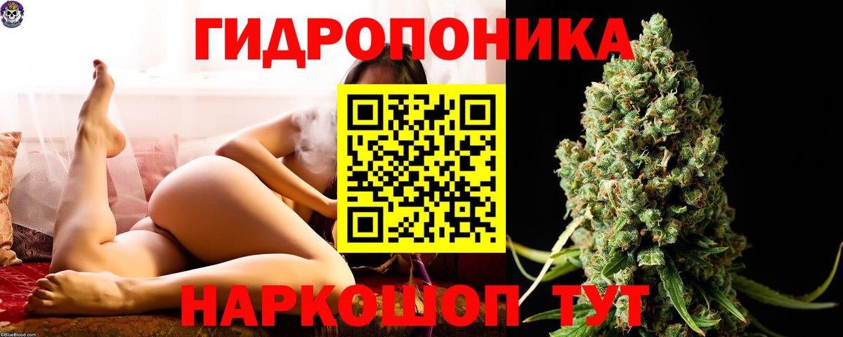 Бошки марихуана VHQ Дмитров